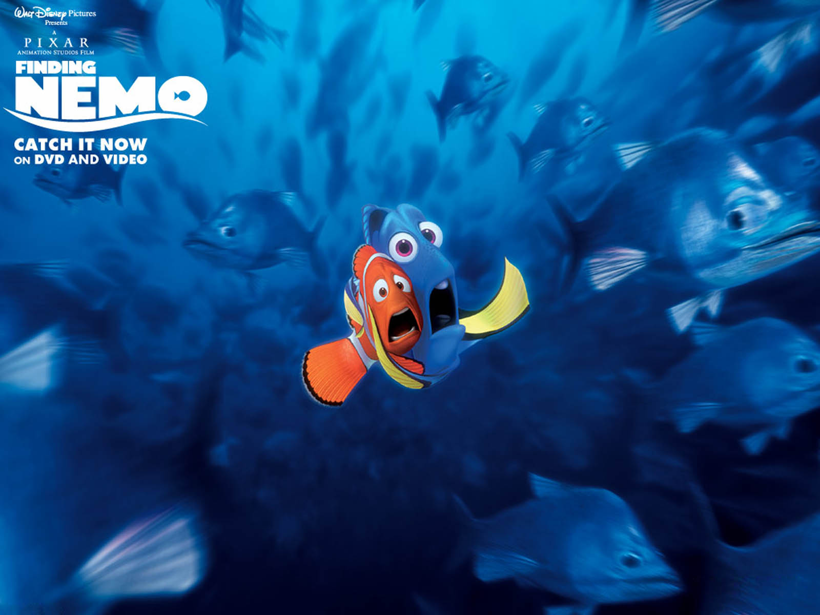 Wallpaper Finding Nemo