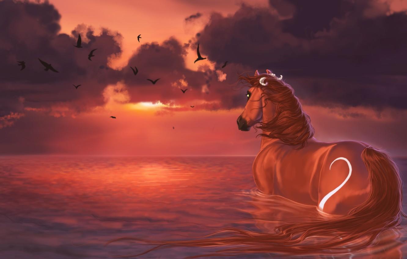 Wallpaper Water Clouds Sunset Birds Horse Painting