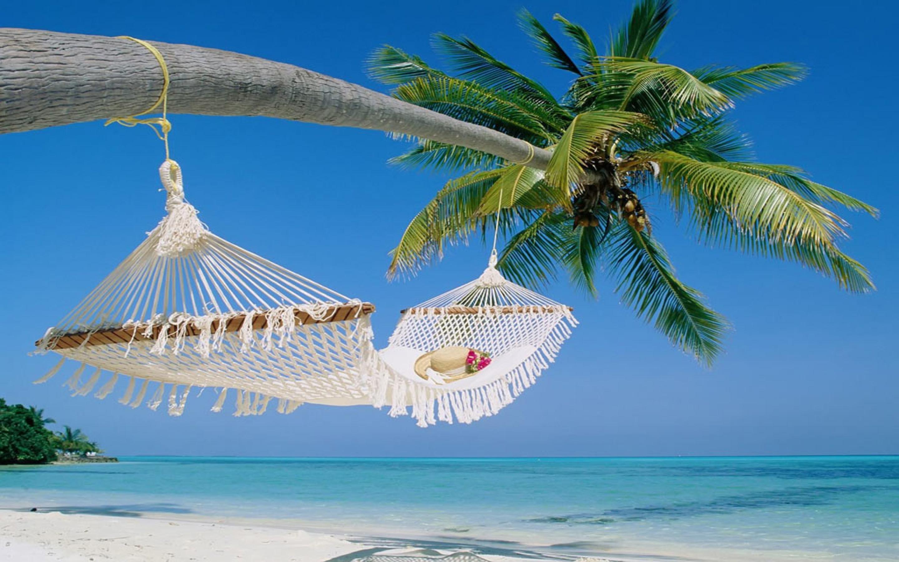 Maldives Tropical Beach Palm Tree with Hammock Wallpaper in High