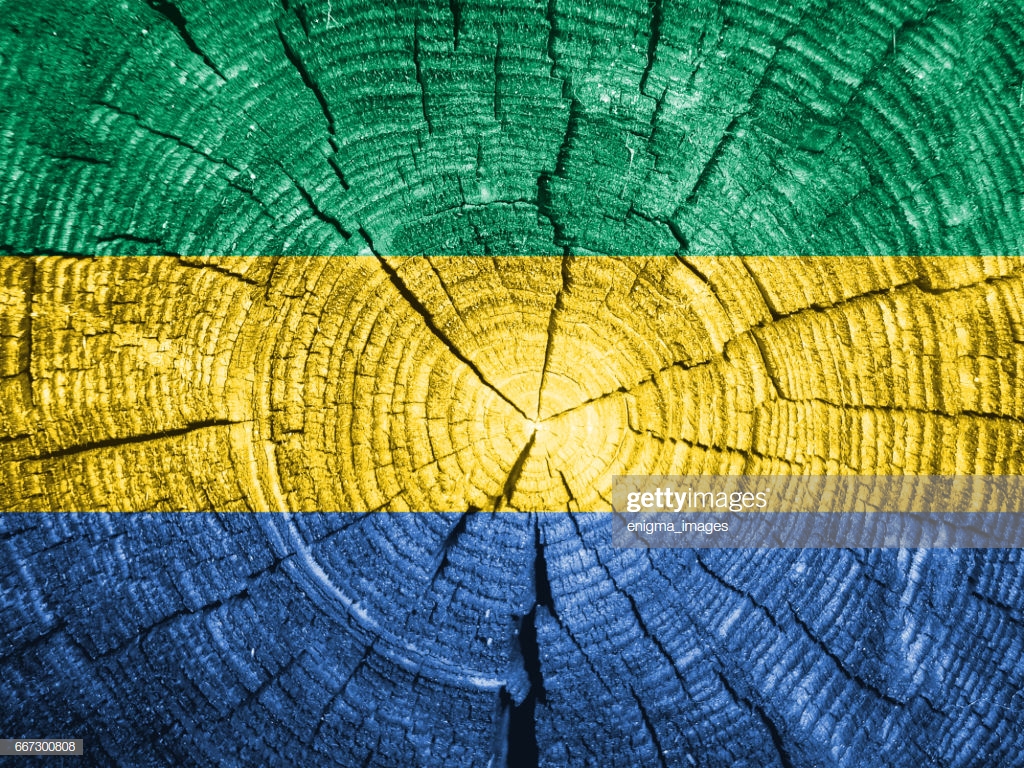 Flag Of Gabon Stock Photo Getty Image