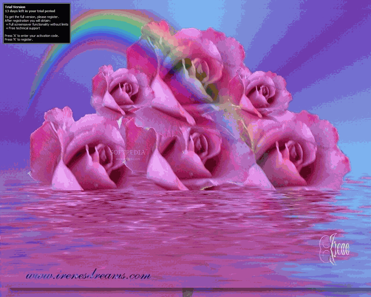Roses Adrift Screensaver Will Display A Ravishing Slideshow