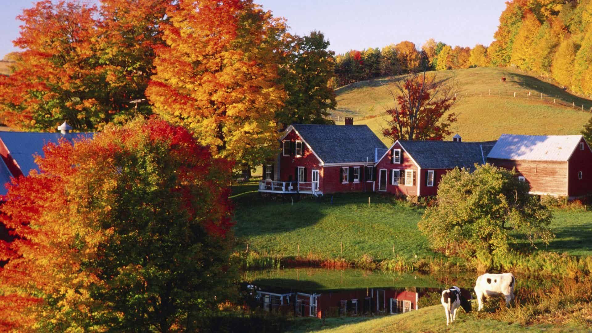 Vermont In Fall Desktop Wallpaper Top