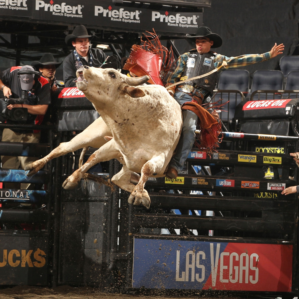 At Pbr And Poster