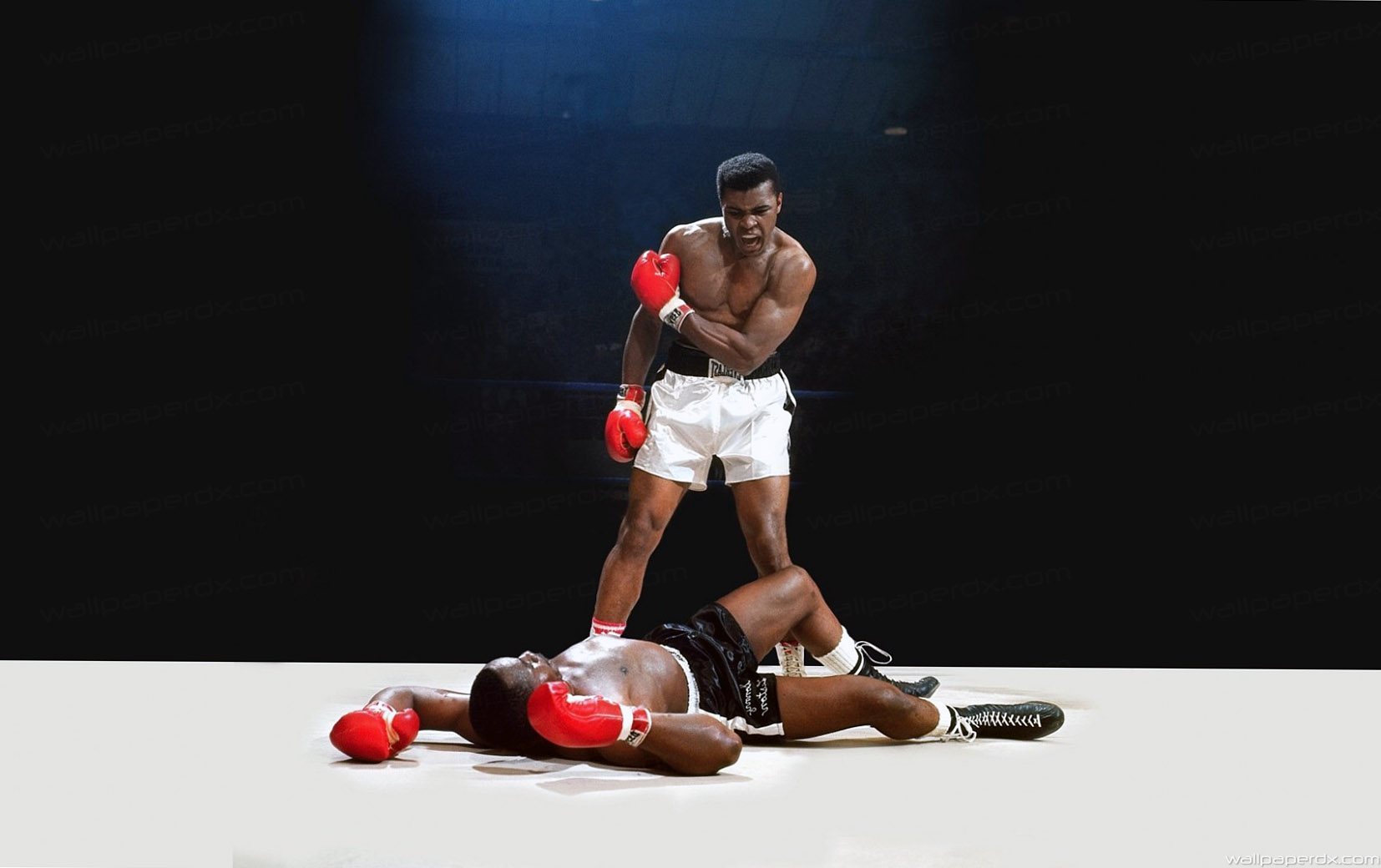 Muhammad Ali HD Wallpaper Amazing Widescreen
