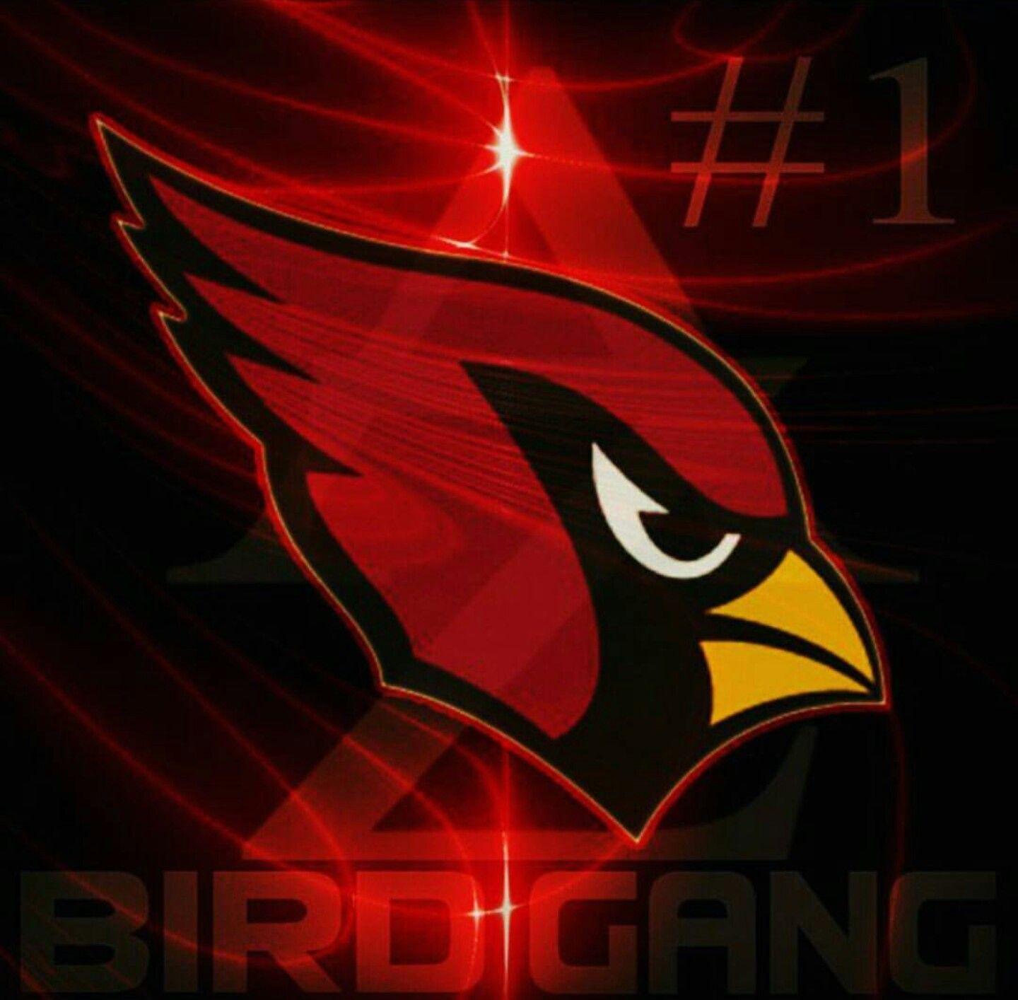 Reyna Begay On Bird Gang Az Arizona Cardinals Wallpaper