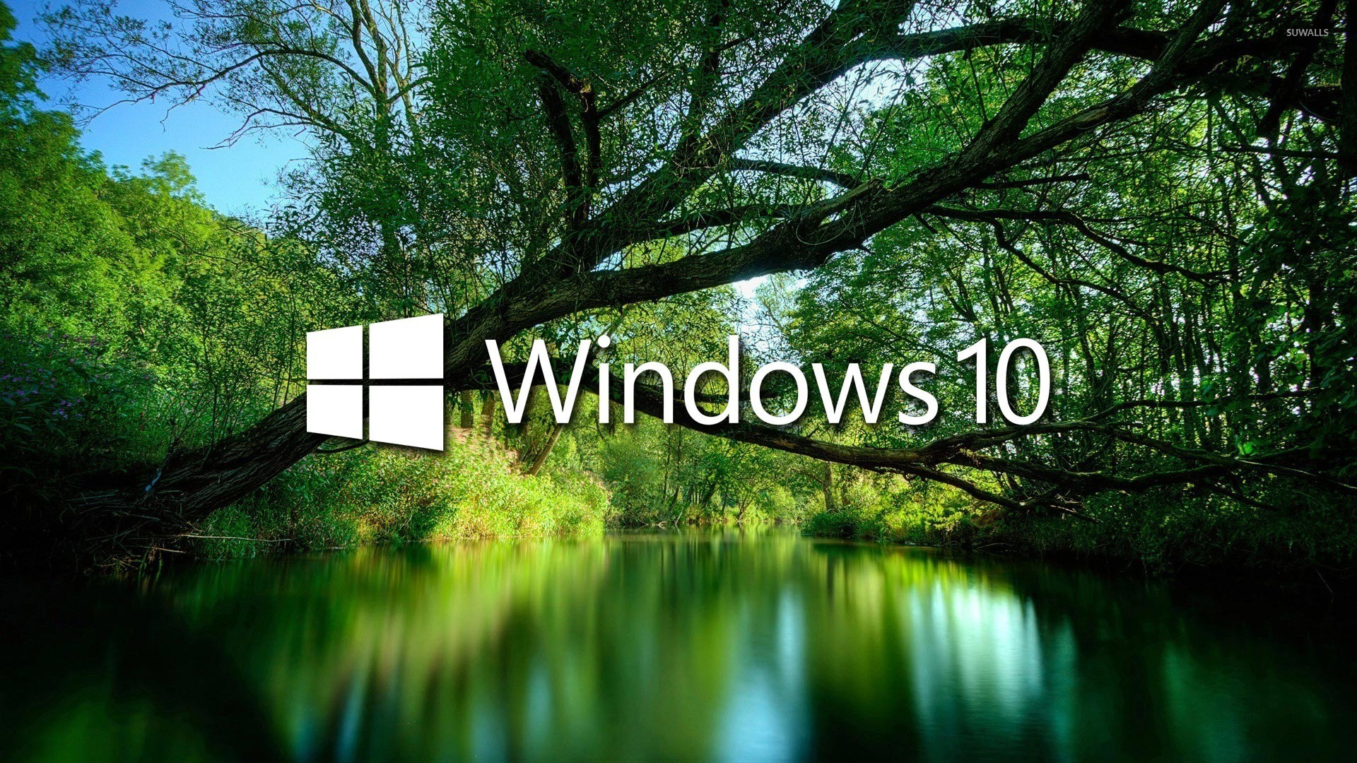 Windows 10 logo over a tranquil forest stream