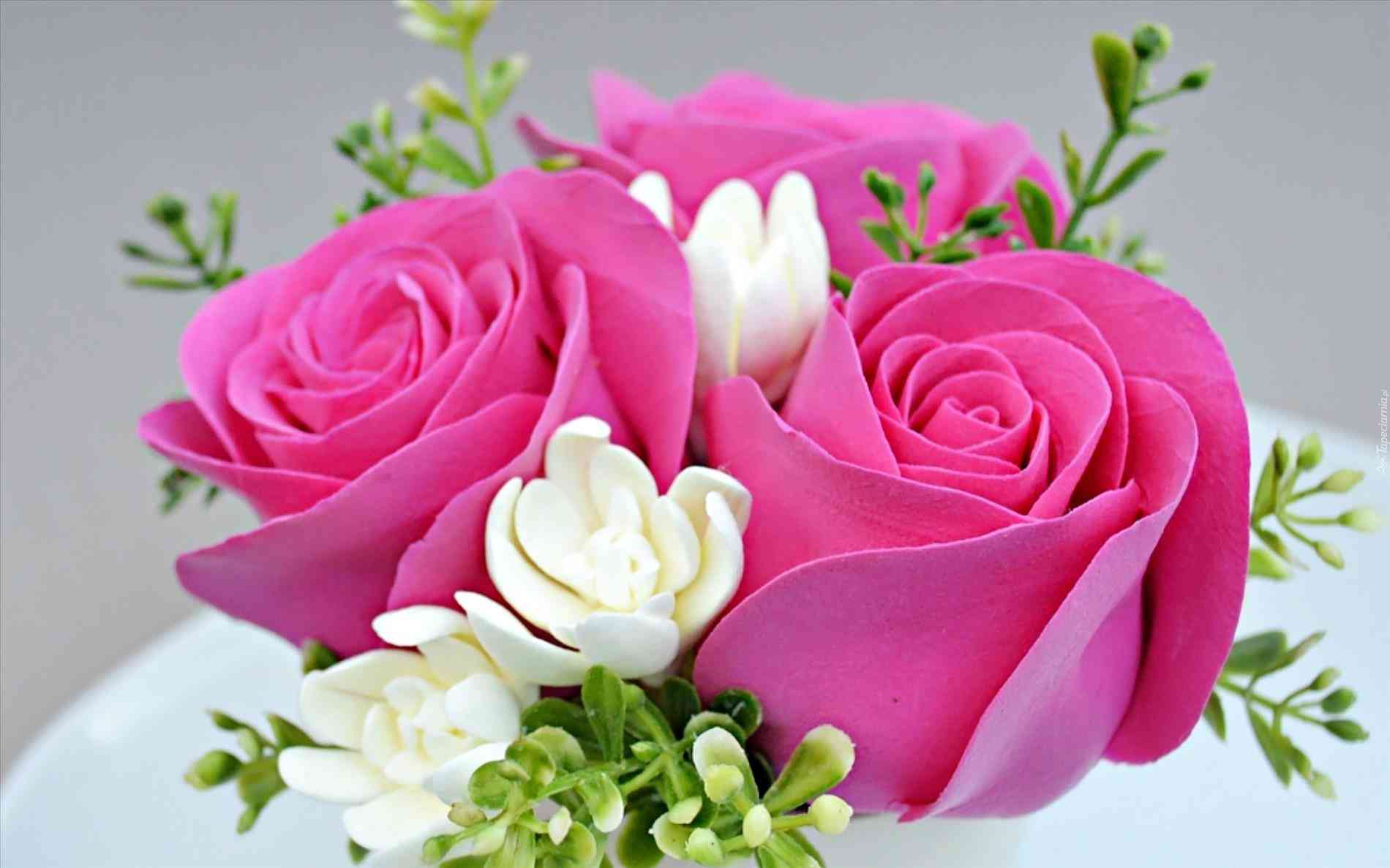 Free download Pink Rose Hd Wallpaper Rose Flower Images Full Size