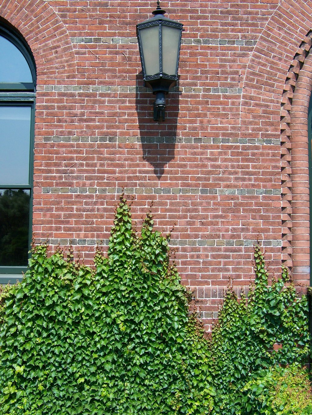 Brick Wall With Ivy Stock By Wkj