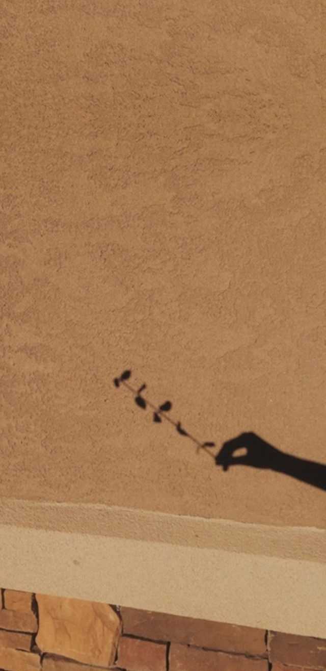 Tan Wallpaper
