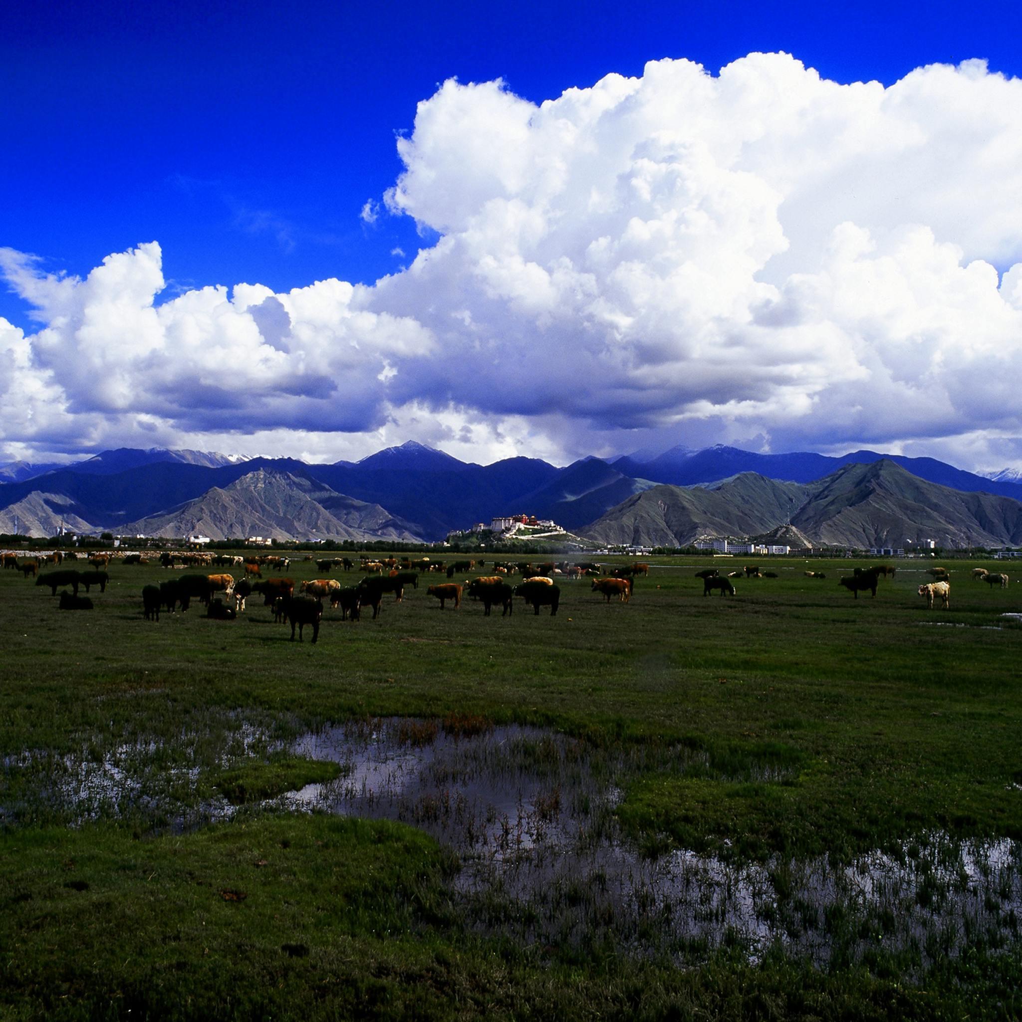 Tibet Id06 Natural Scenery New iPad Wallpaper HD