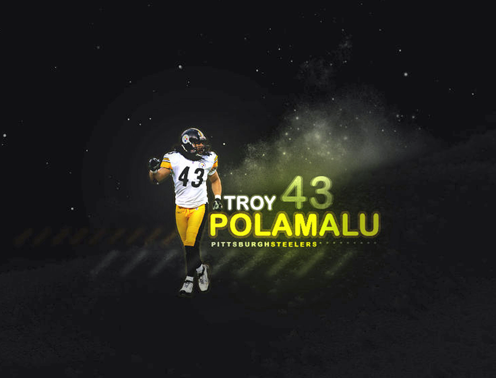 Top Ten Troy Polamalu Photos