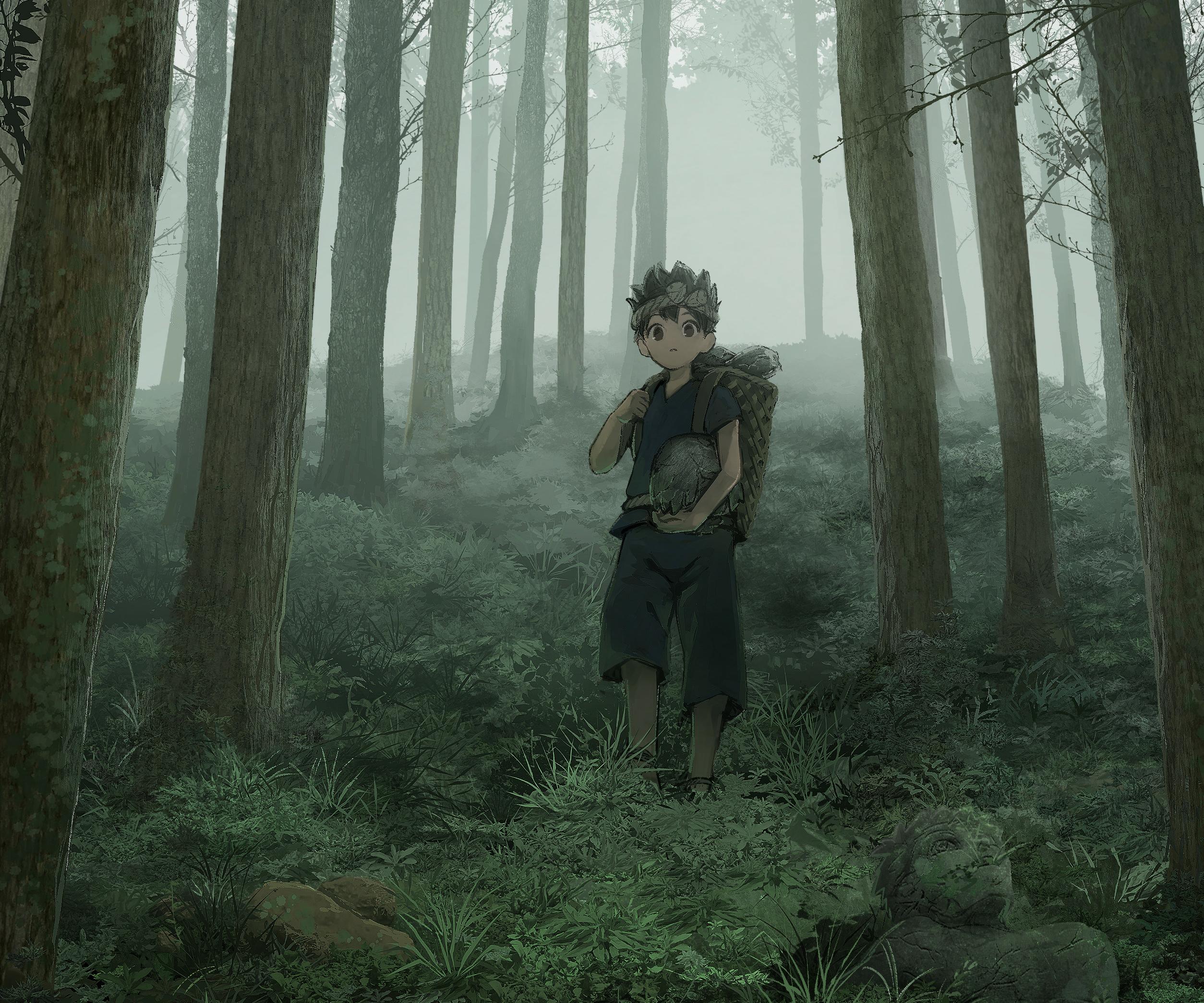 Anime Dr Stone HD Wallpaper