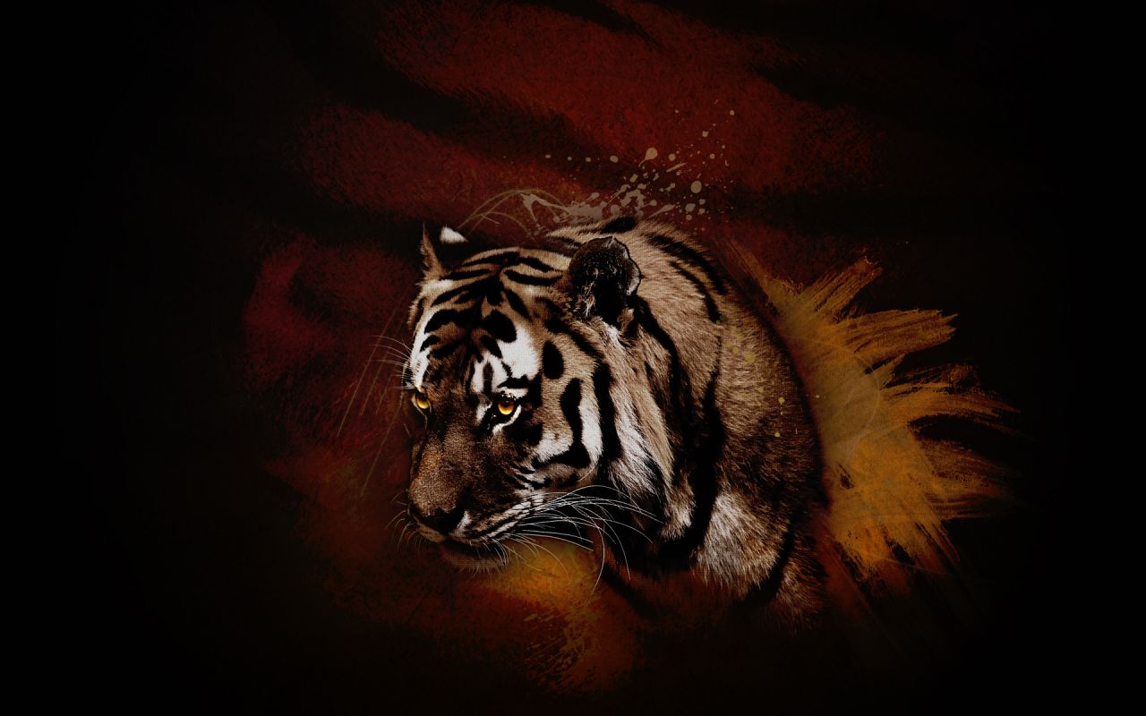 47+] Black Tiger Wallpaper - WallpaperSafari