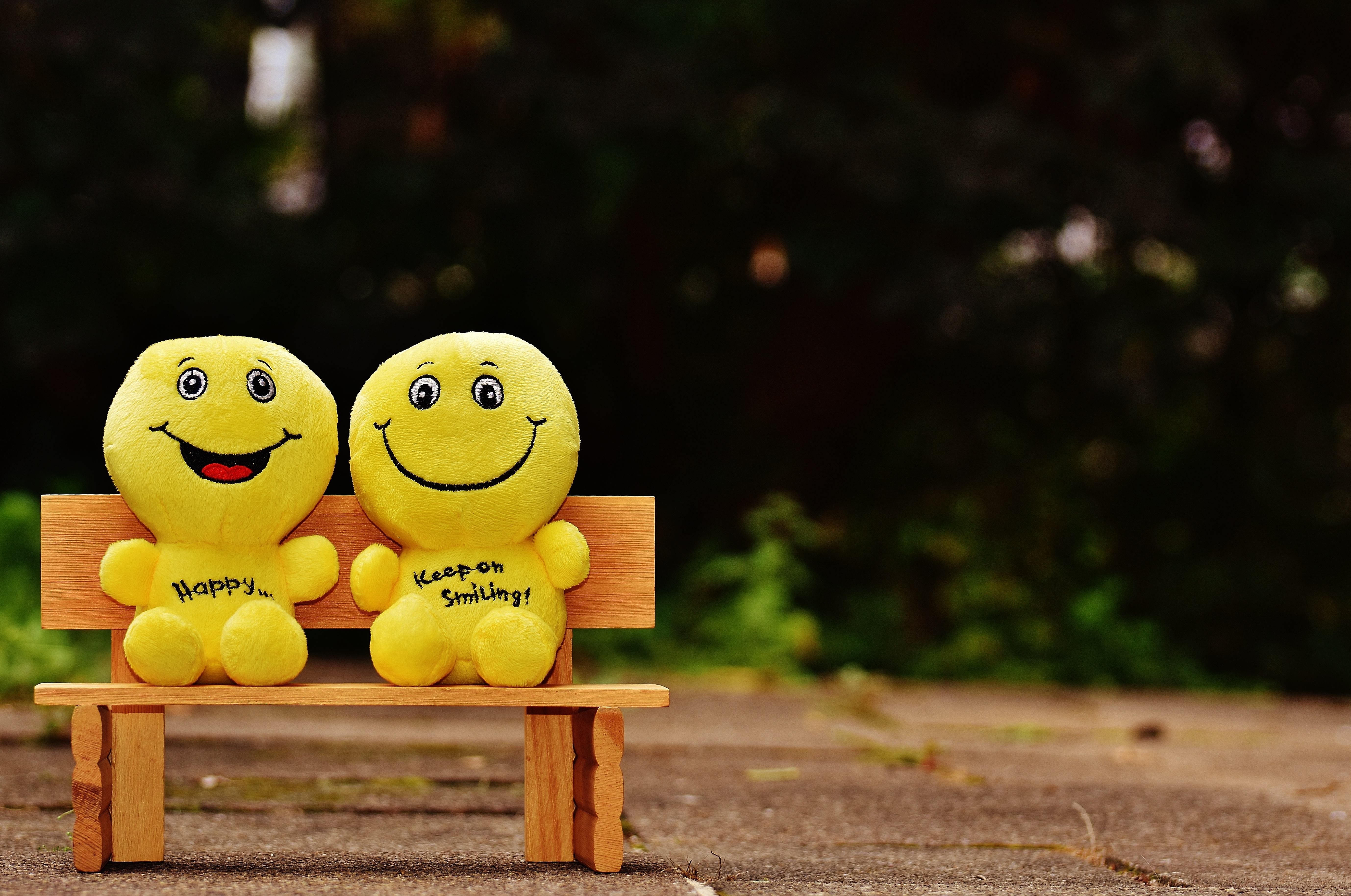 Wallpaper Smiles Happy Cheerful Smile Bench
