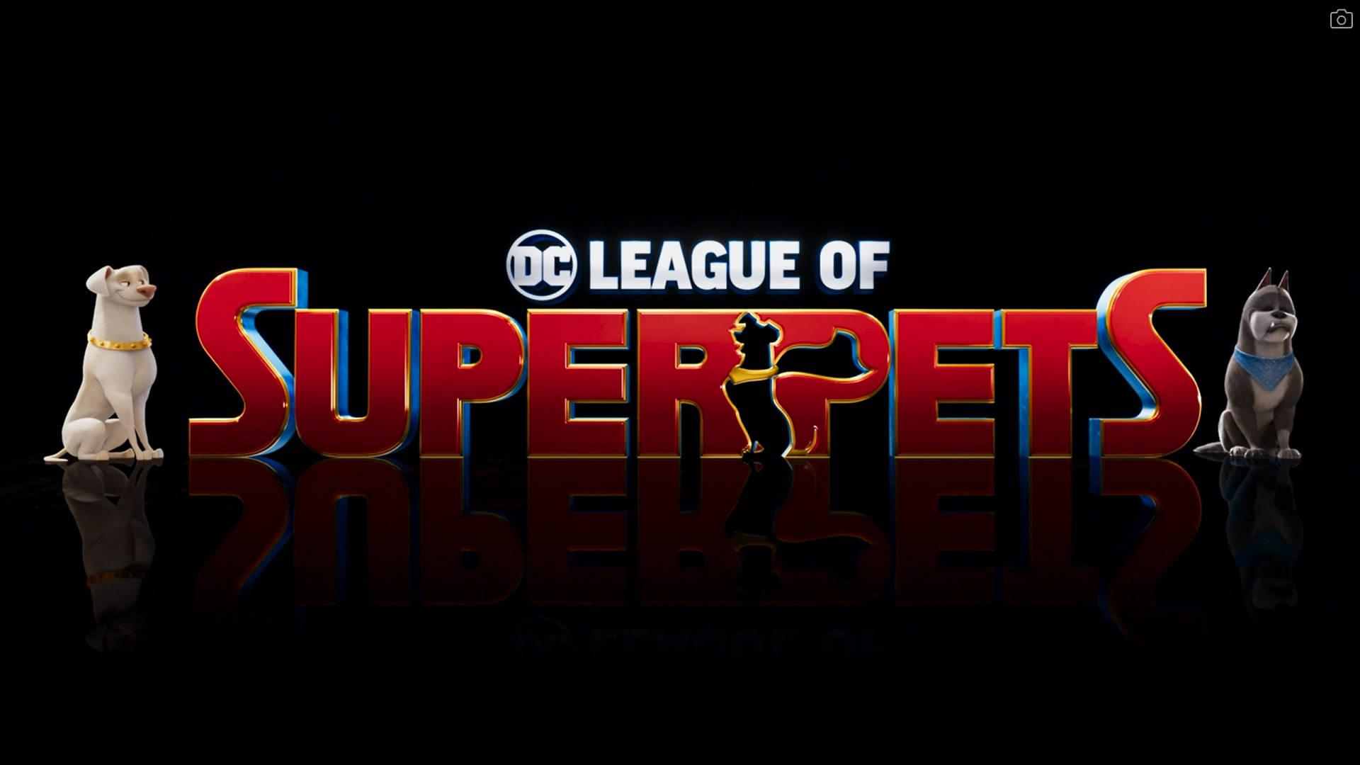 Dc League Of Super Pets Wallpaper