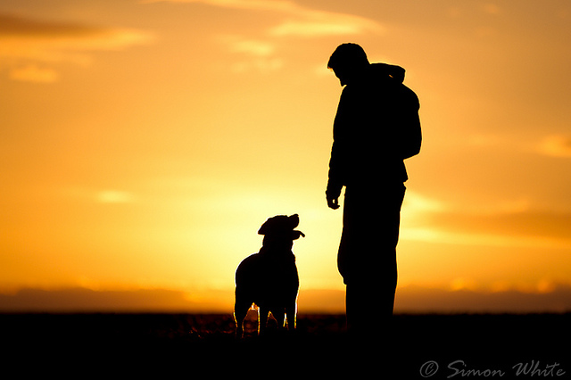 Most Incredible Examples Of Silhouette Photography