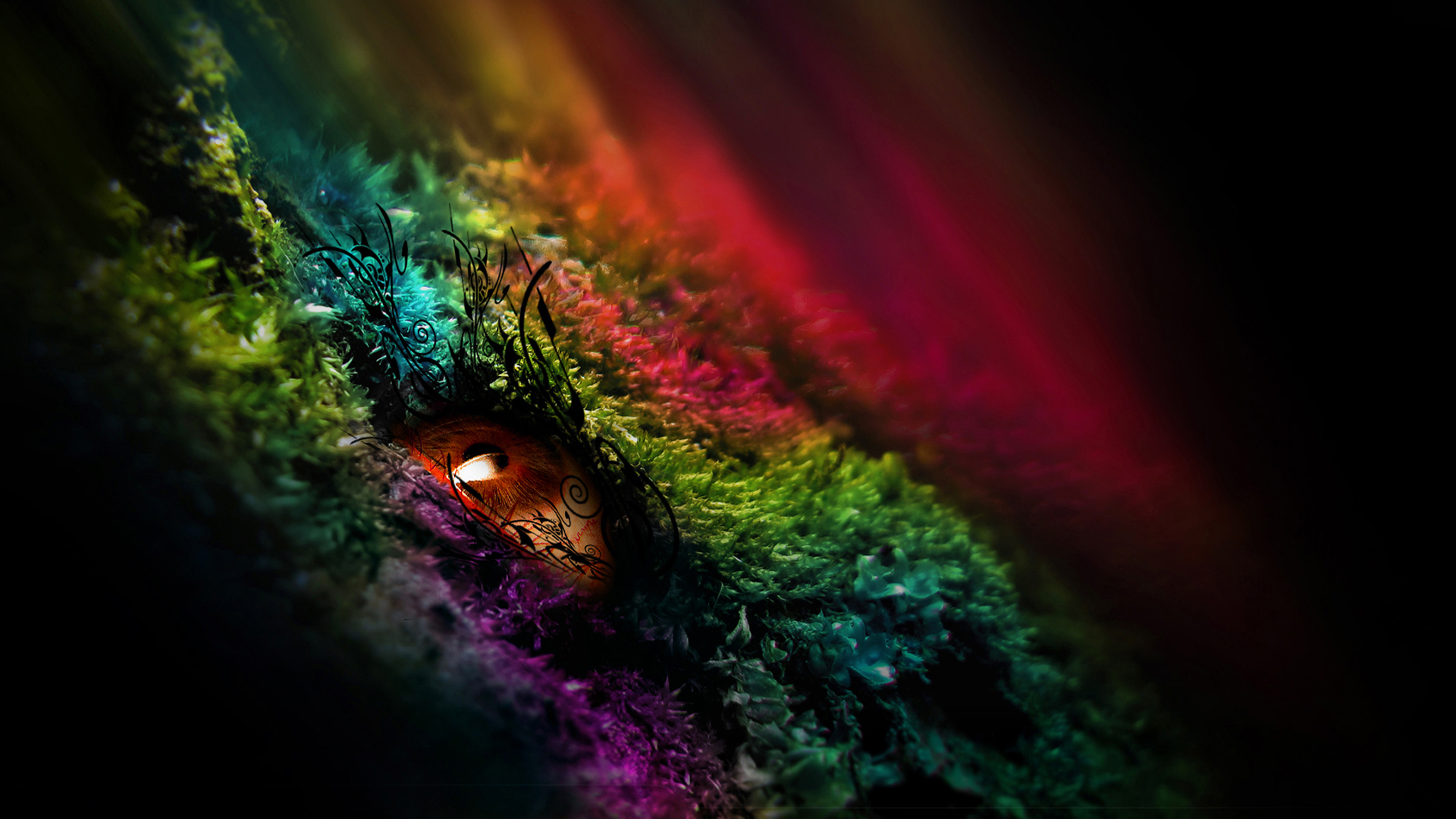 Eye Wallpaper Color Growth Myspace Background