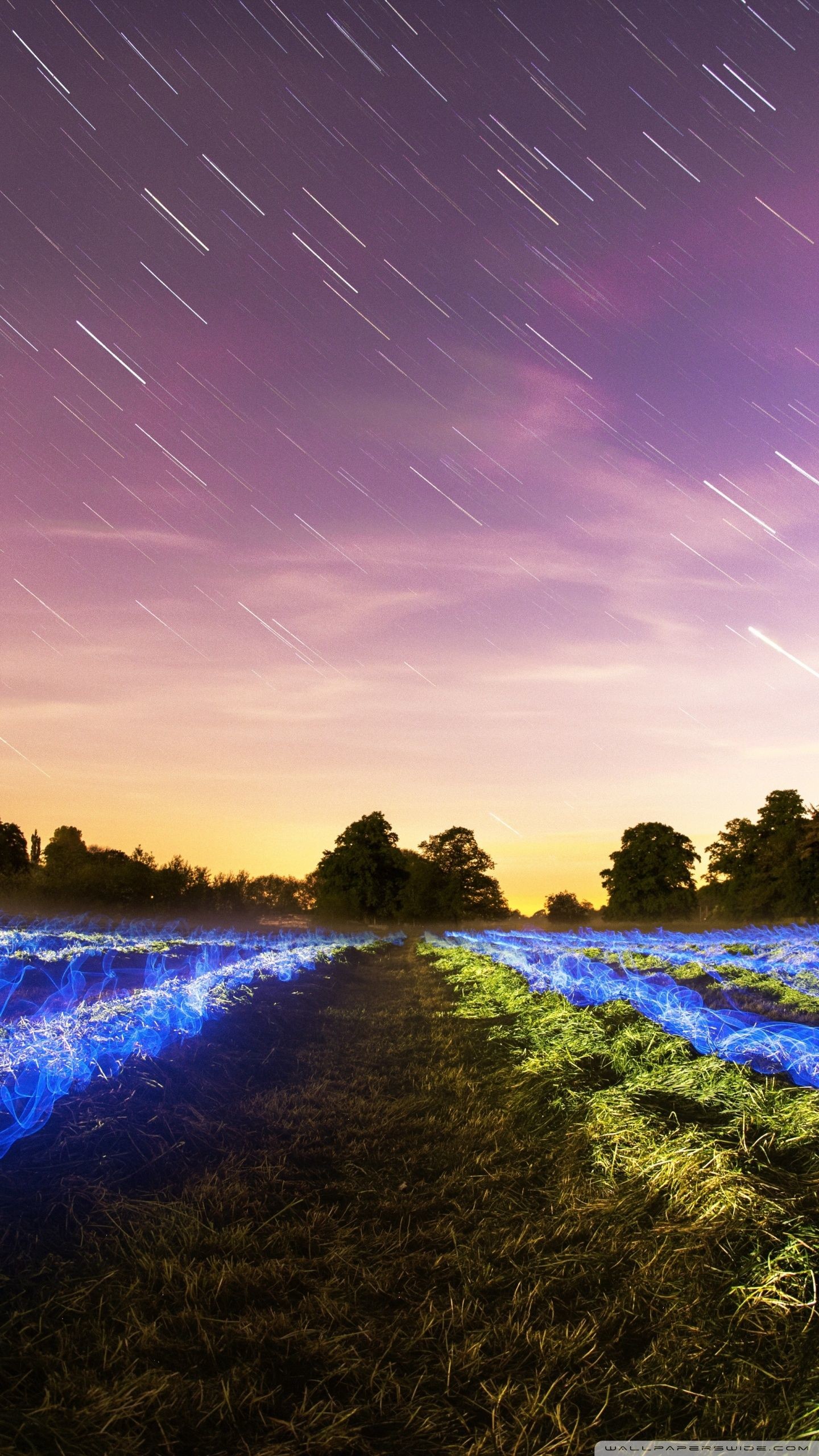 Long exposure photograph of a field at dusk with star trails in the sky and light painting in the foreground