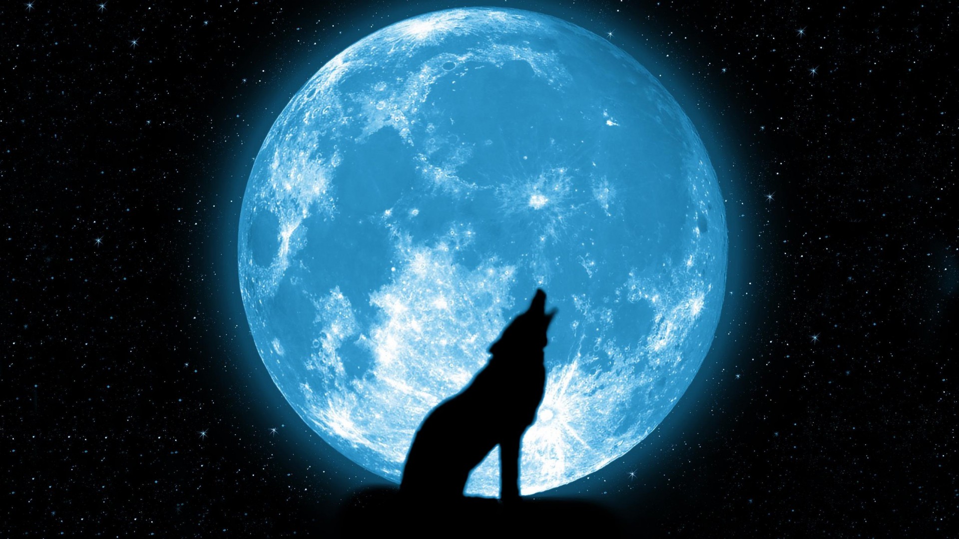 Wallpaper night sky Moon wolf stars Wolf howling at