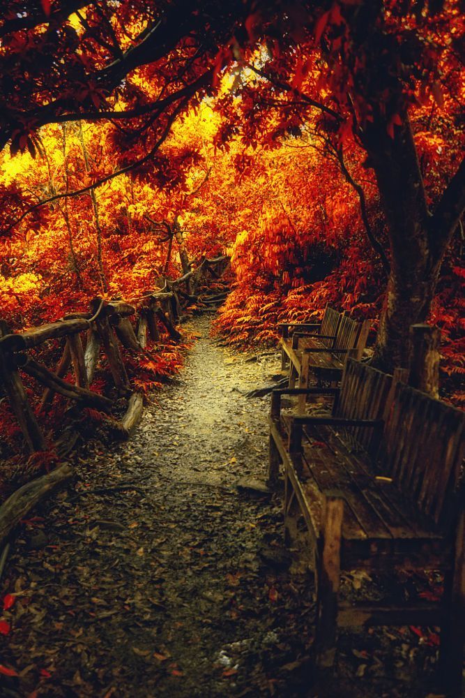 Mabon Autumn Equinox HD Wallpaper Scenery Day