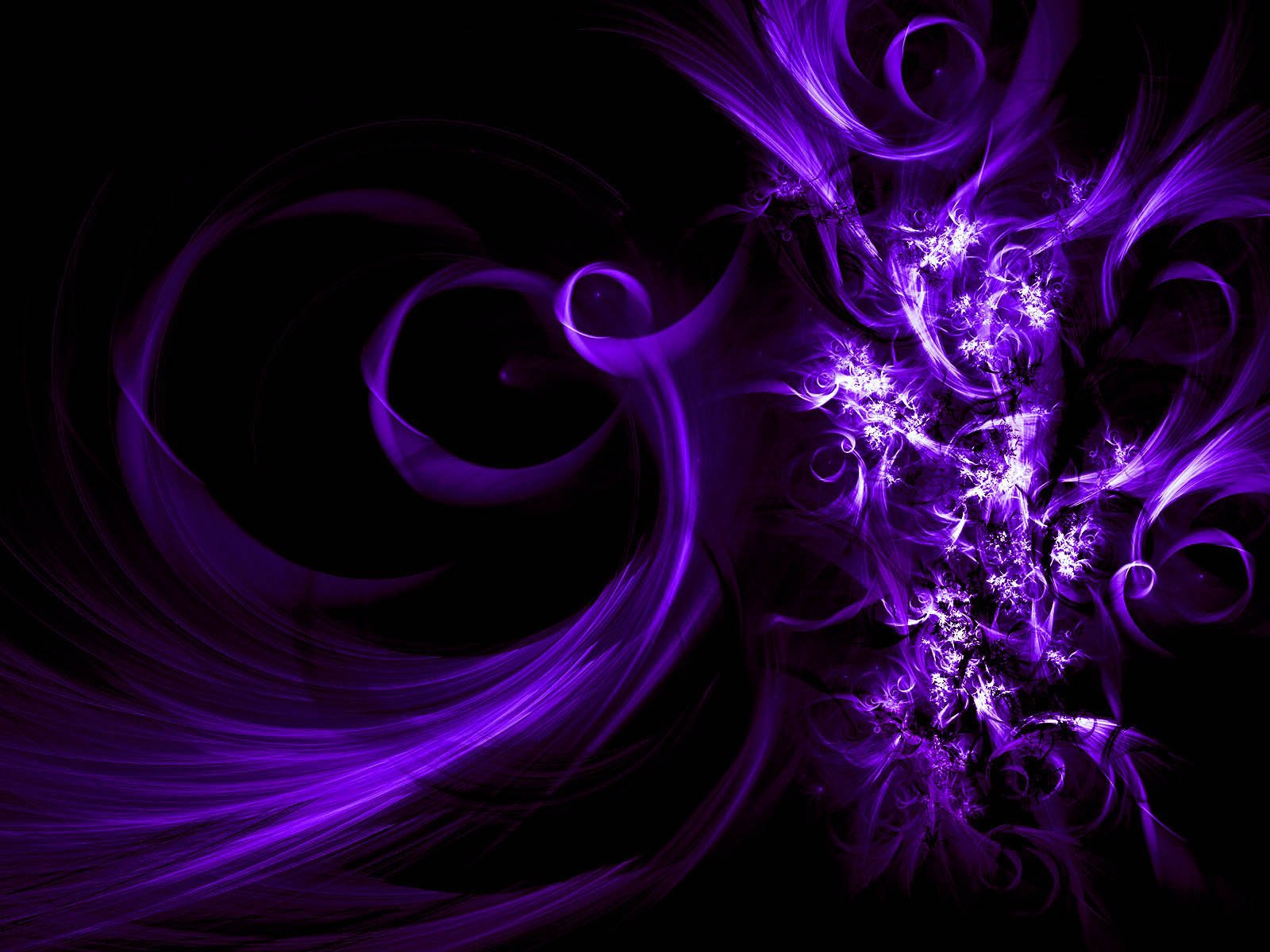 Purple Flower abstract background purple floral shine stars HD  wallpaper  Peakpx