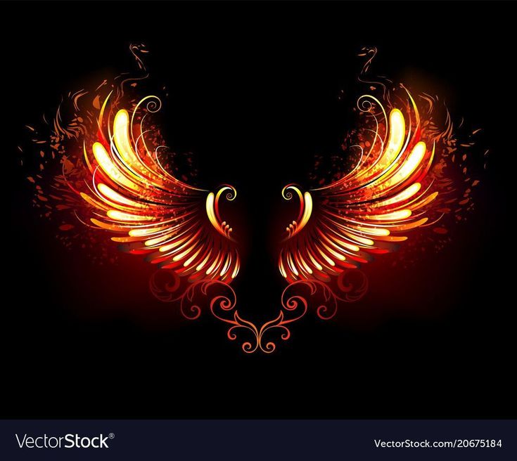 Fire Wings Wallpaper