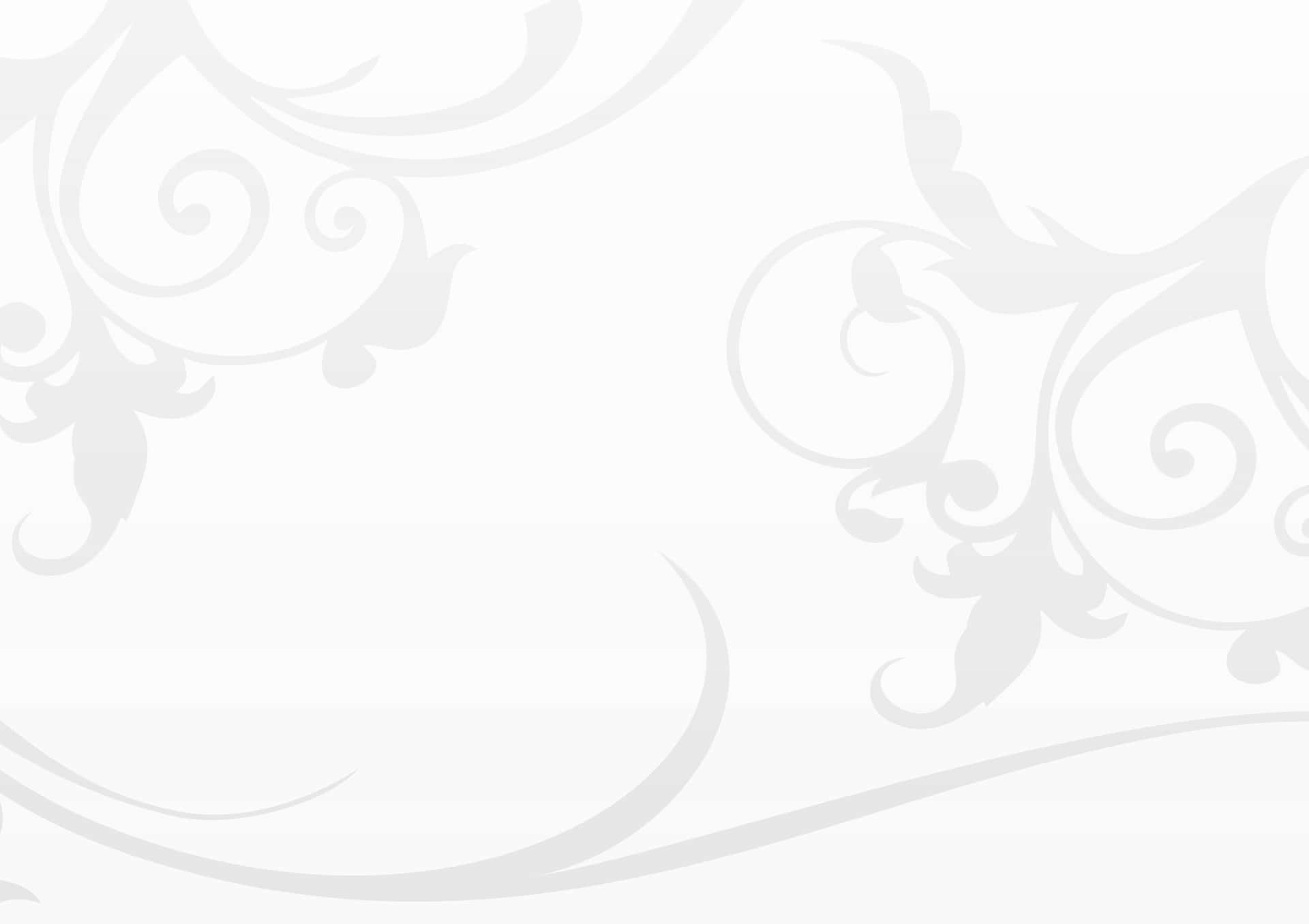 Plain White Background Wallpaper