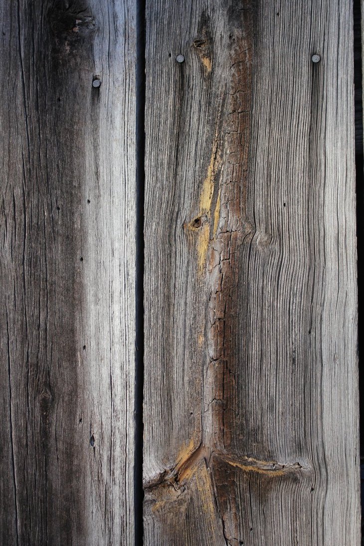 Barn Wood Texture By Thy Darkest Hour