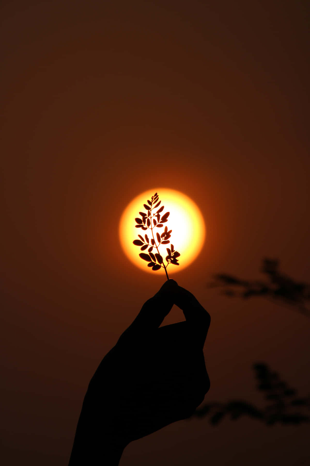 A Beautiful Day Full Of Sunshine Wallpaper