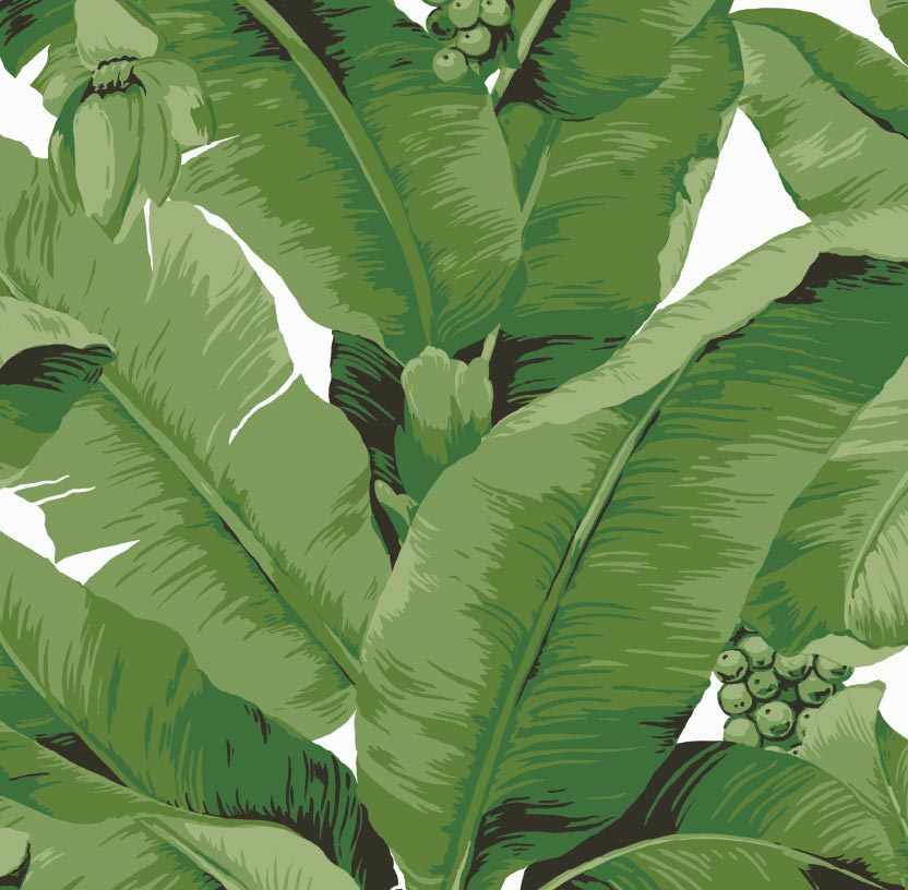 Design Ideas For Decorating With Banana Leaf Wallpaper Daisy Bennett
