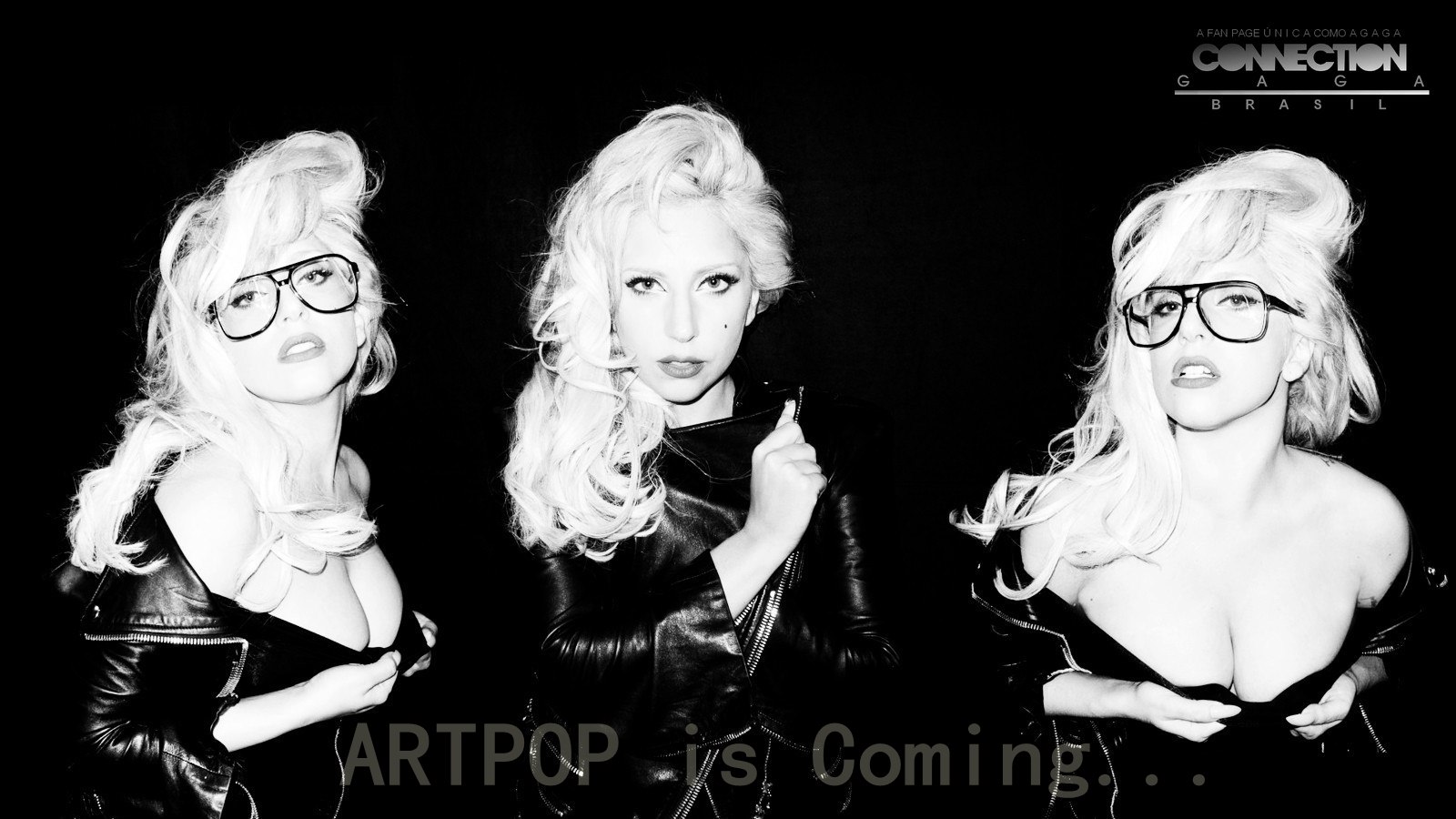 Lady Gaga Artpop Wallpaper Brazilian