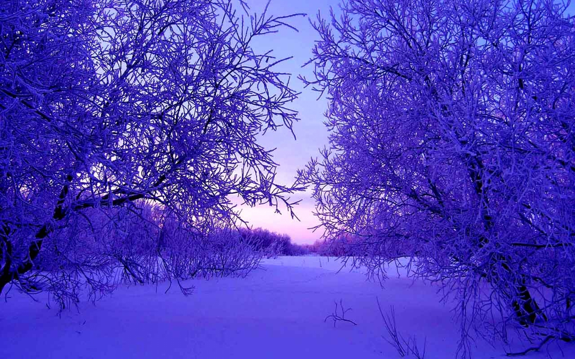 Beautiful Winter Wallpaper Background Image Design