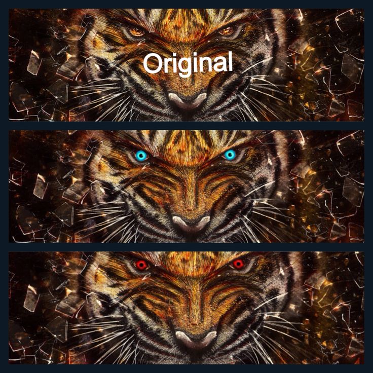 A close up of the tiger eye color change Awesome random