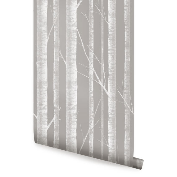 Removable Wallpaper Birch Tree White Grey Peel Stick Fabric 570x570