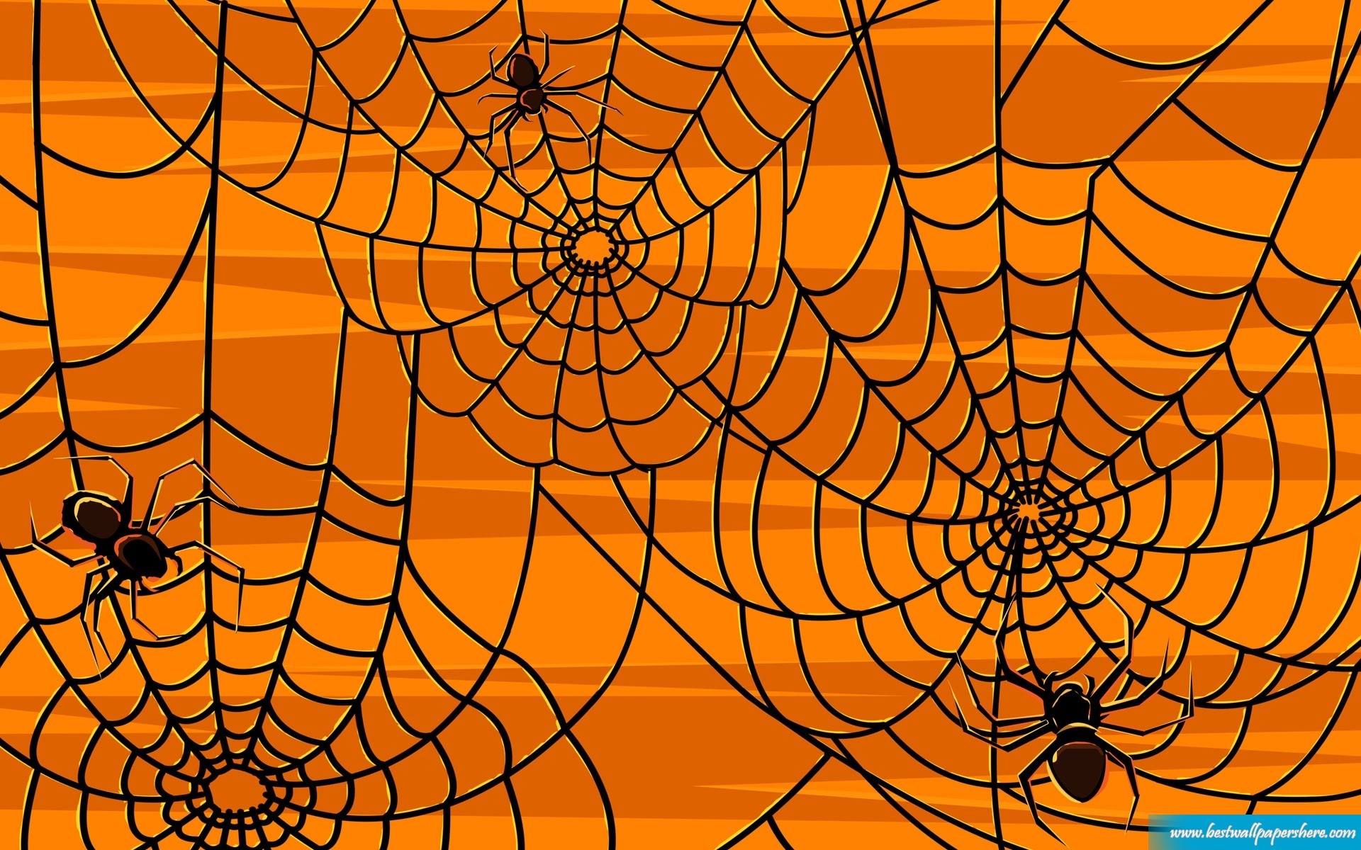 Halloween Spider wallpaper   312269 1920x1200