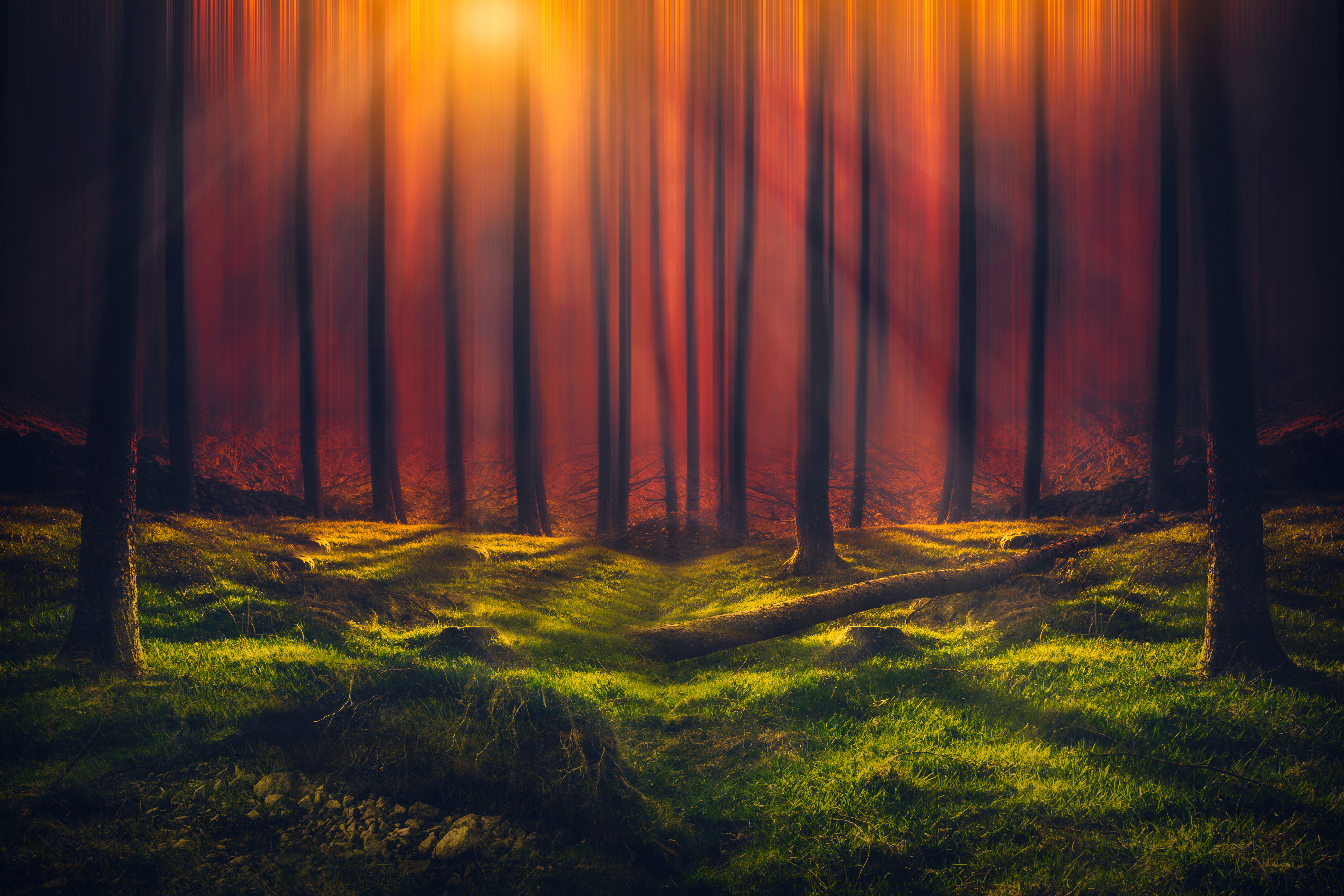 5K HD wallpaper of a mystical forest at sunset with vibrant colors and a dreamlike atmosphere