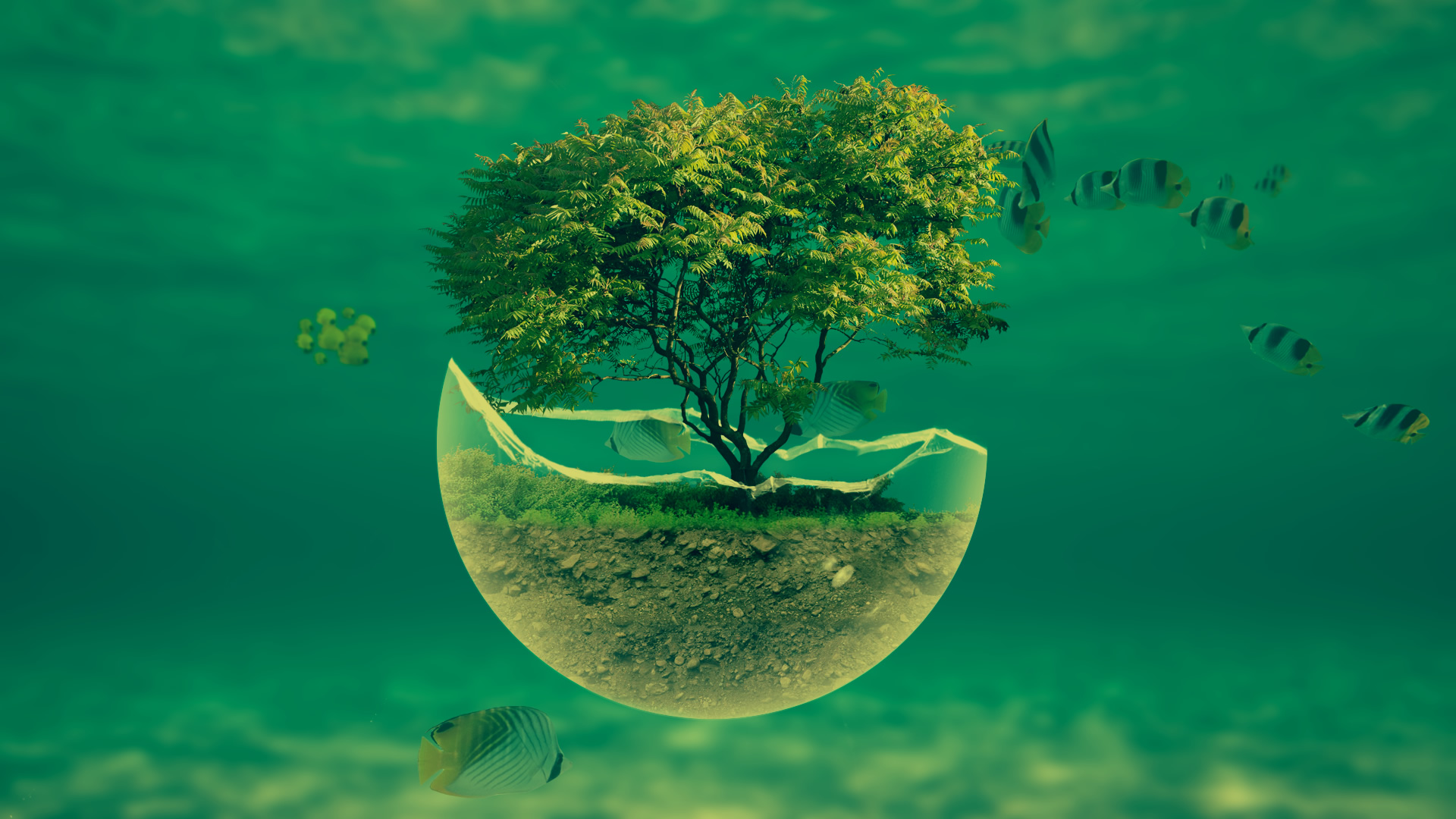 Underwater Tree Widescreen HD Abstract Desktop Wallpaper