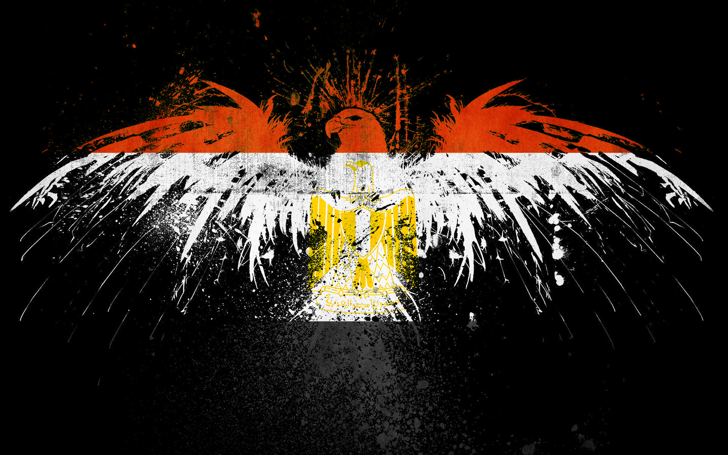 Eagles Flags Wallpaper Egypt