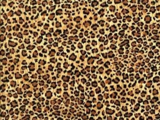 Leopard Print wallpapers to your cell phone   animal print leopard 510x383