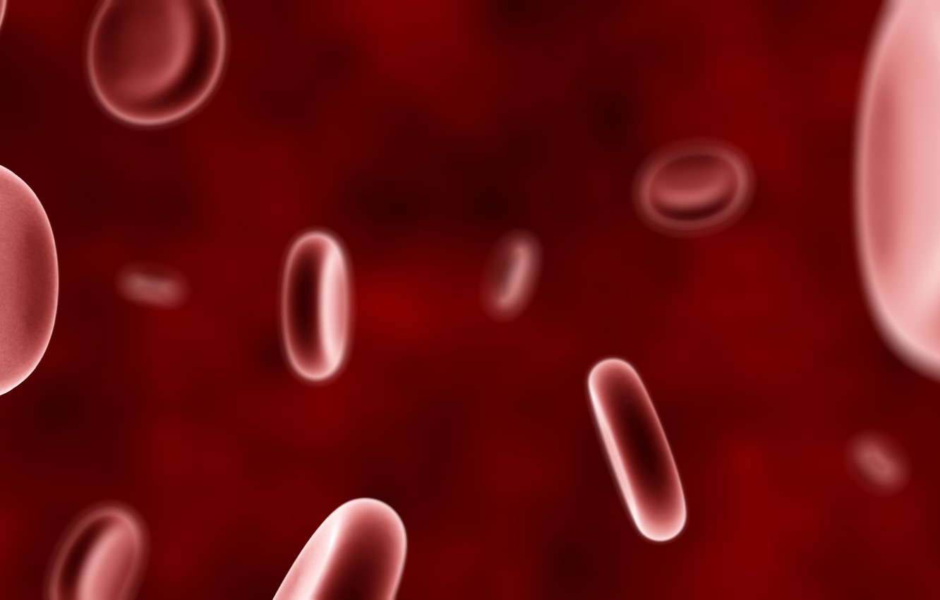 Wallpaper Red Blood Cells Image For Desktop Section