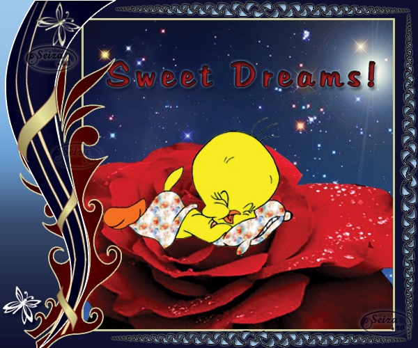 Good Night Tweety Bird Cartoon HD Wallpaper