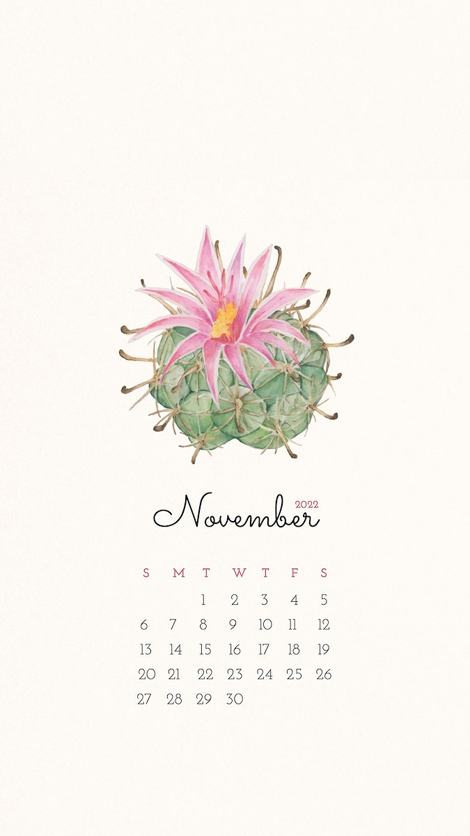 Cactus November 2022 calendar mobile Free Photo   rawpixel