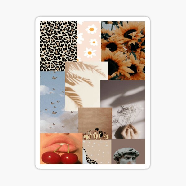 Aesthetic Wallpaper Colour Theme Sticker By Anellamationss