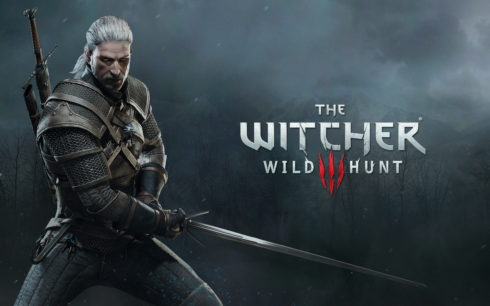 The Witcher Wild Hunt Puter Wallpaper Desktop Background