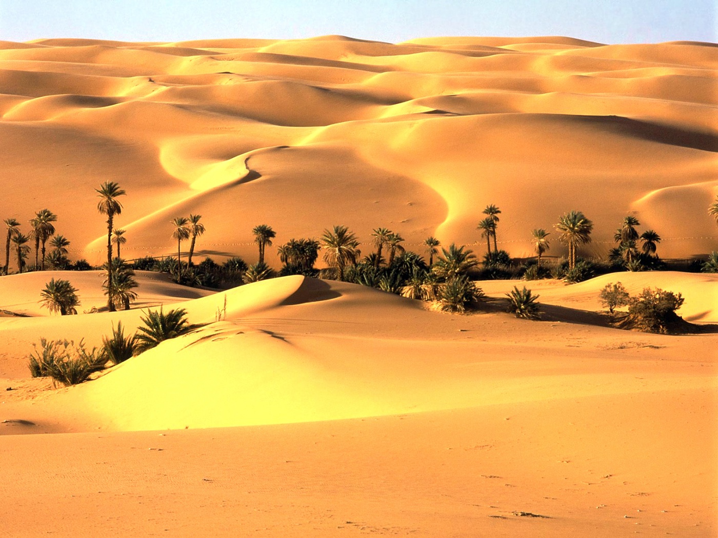  Free download Desert oasis nature wallpaper in 1400x1050 resolution