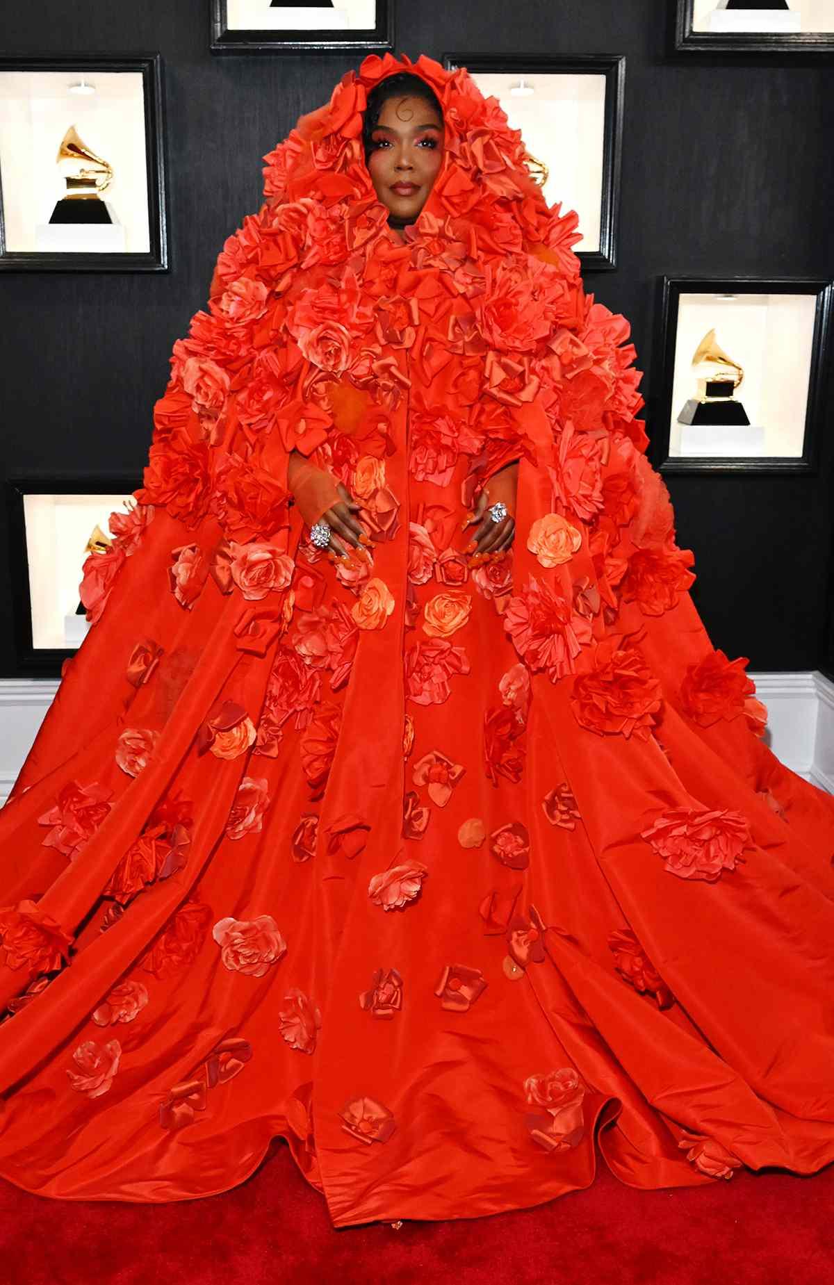 Grammys Red Carpet Photos
