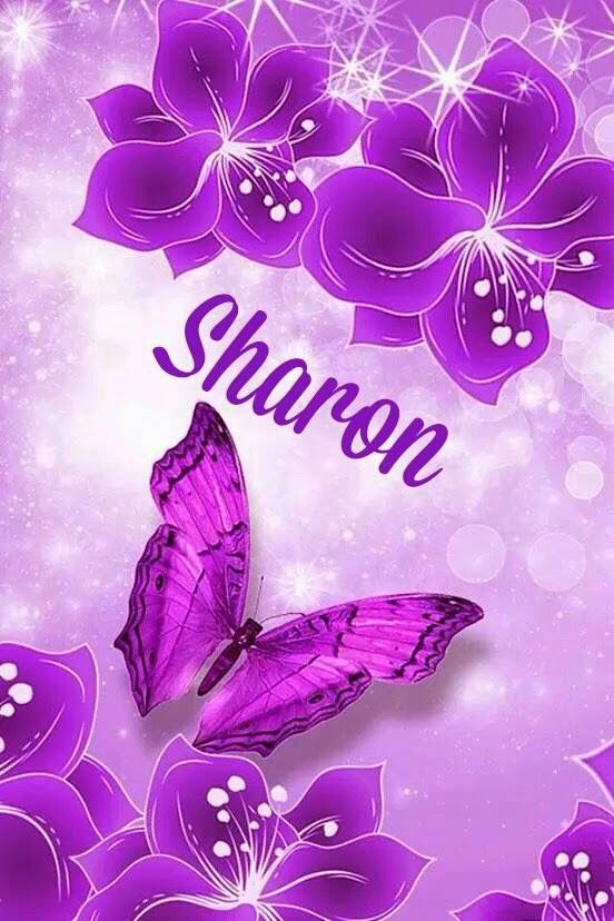 9b00d21ae6c9ed1563adfaae8ec6a49f Wallpaper