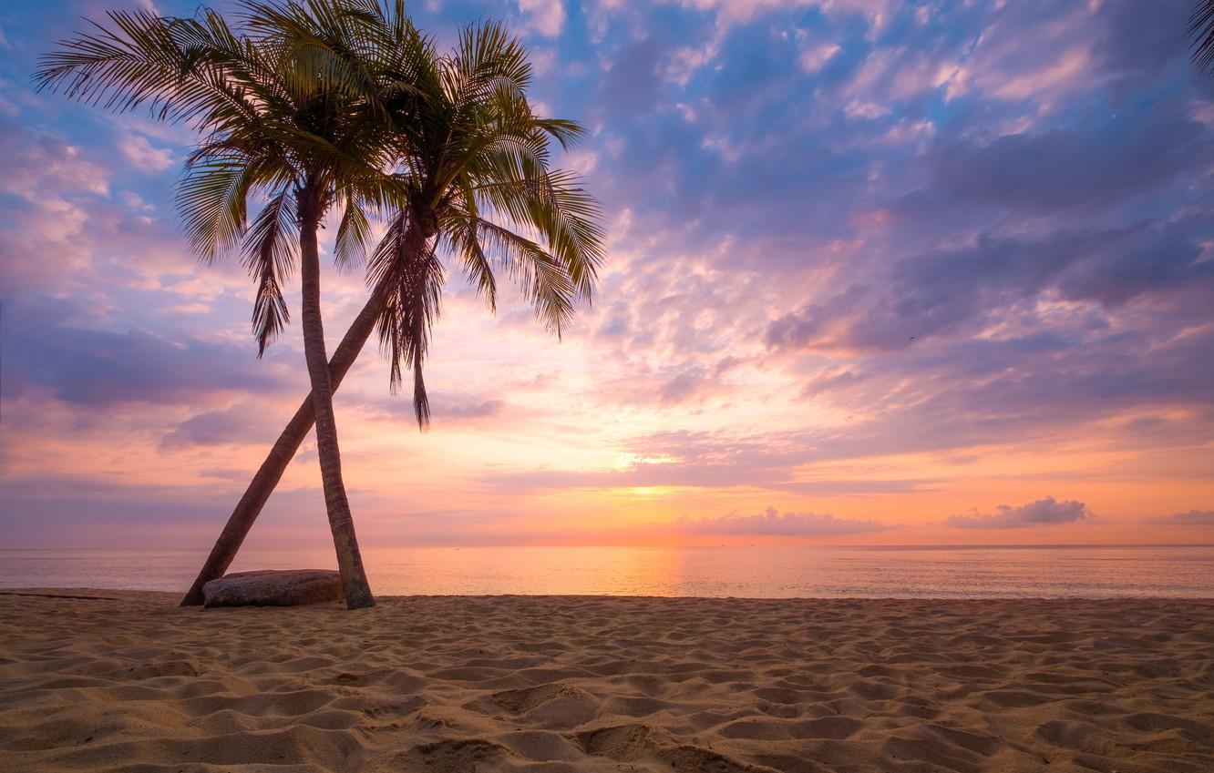Wallpaper sand sea wave beach summer sunset palm trees