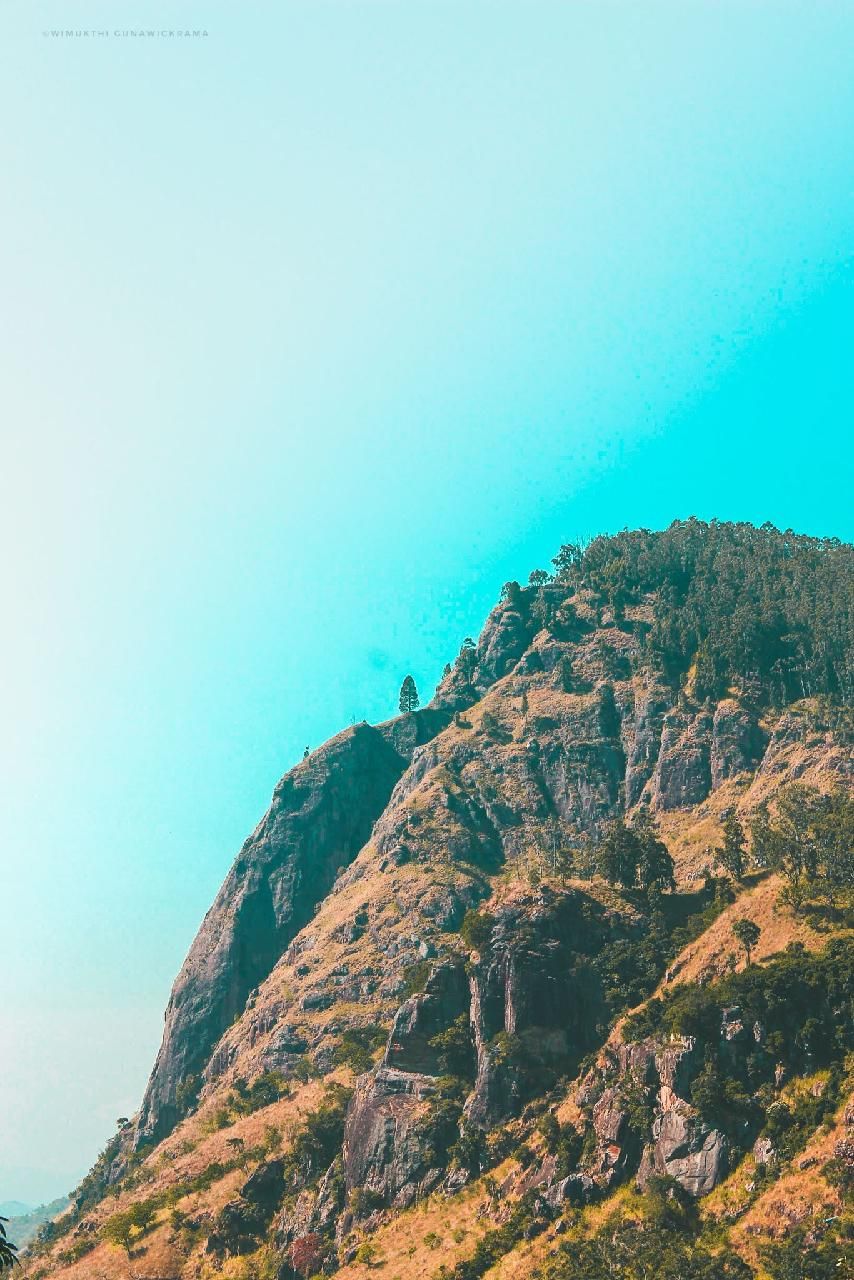 Ella Wallpaper