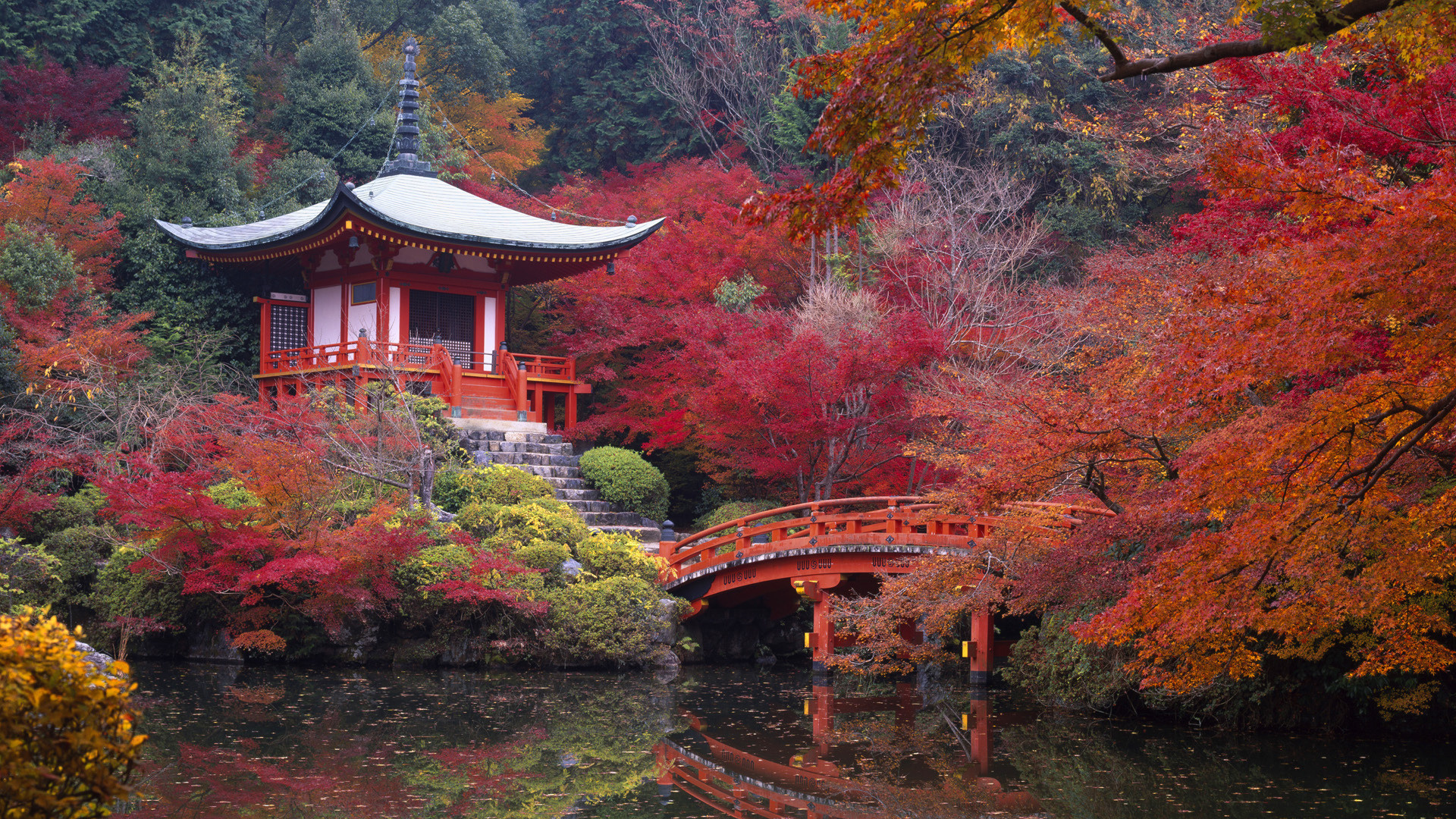 Kyoto Wallpaper Japan Daigo Autumn Pond Forest Park Bridge HD